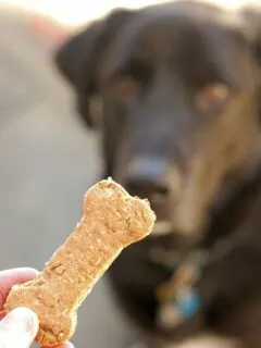 healthy dog biscuits