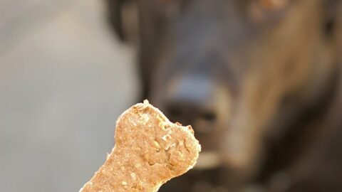 Cooky s Cookies Dog Biscuits