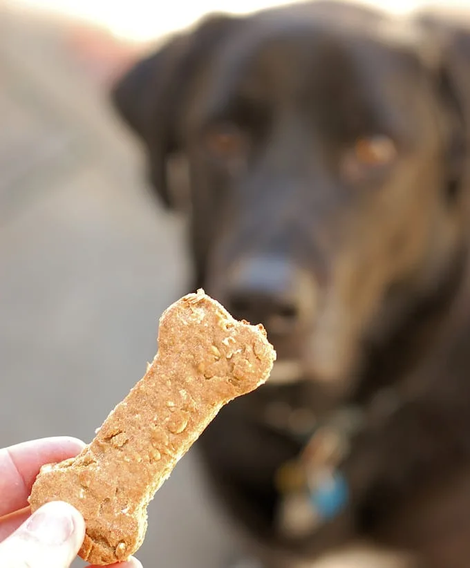 healthy dog biscuits