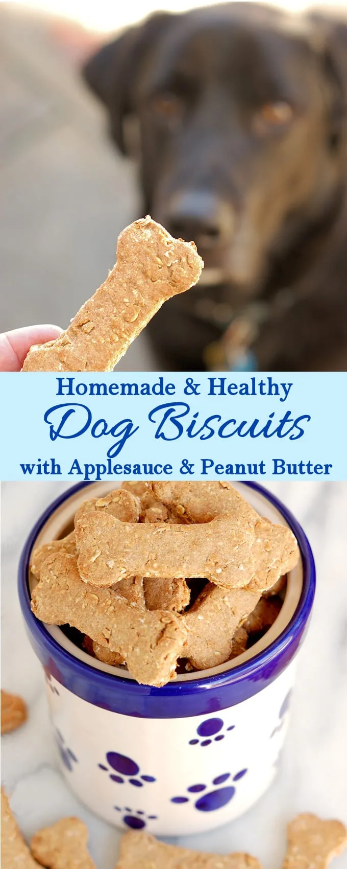 healthy homemade dog biscuits