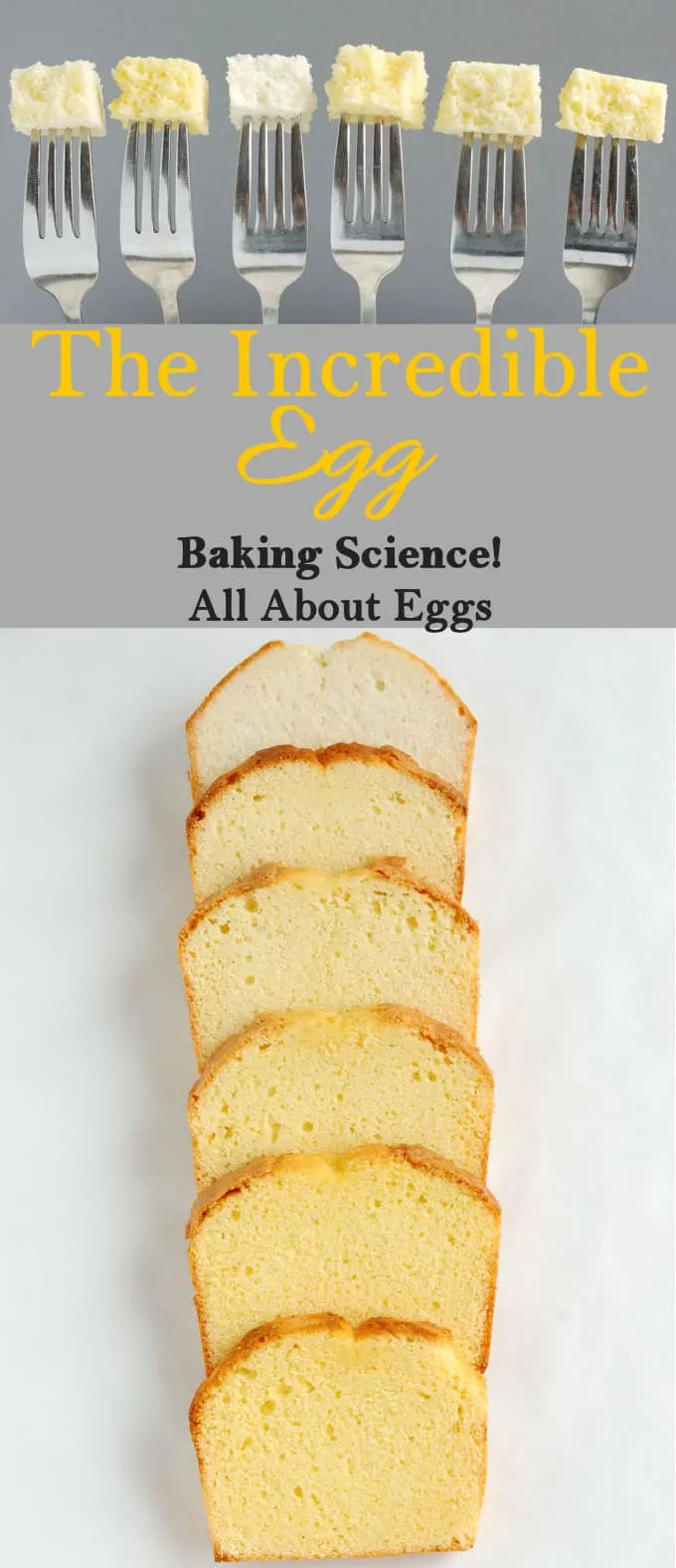 The Function of Eggs in Cake Baking Sense®