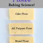 Slices of cake on a white background. Text overlay says Flour, baking scienc.