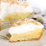 a pinterest image for pina colada pie with text overlay