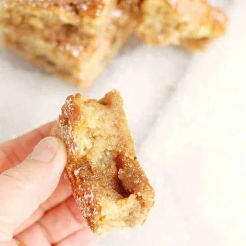 Butterscotch Ripple Blondies - Baking Sense®