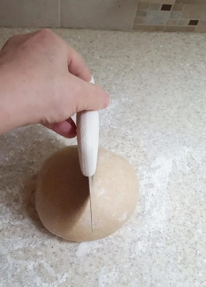 portioning dough for whole wheat hamburger buns