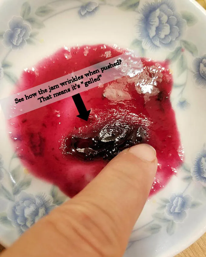 concord grape jam gel test