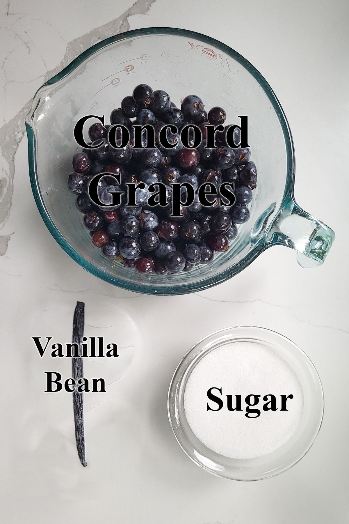 ingredients for concord grape jam in glass bowls on a white surface.