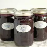 a pinterest image for concord grape jam with vanillla
