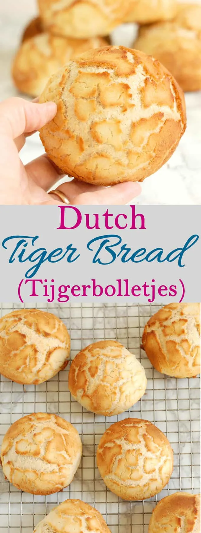 Learn how to make super-crunchy Dutch Tiger Bread (tijgerbolletjes) from scratch. The secret to the crunchy topping is surprisingly easy!