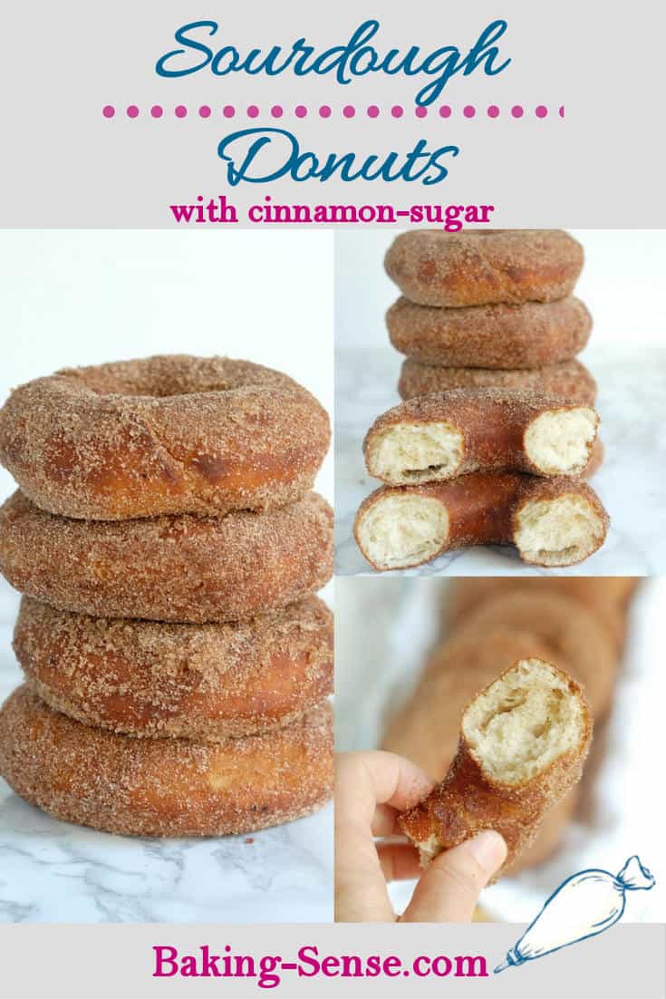 Sourdough Donuts with Cinnamon Sugar Baking Sense®