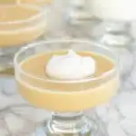 a dish of Butterscotch Pudding