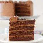 a slice of Chocolate Genoise