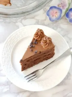 Chocolate Whipped Cream in a chocolate sponge cake