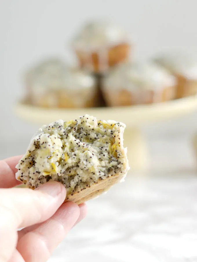 lemon poppy seed squash muffins