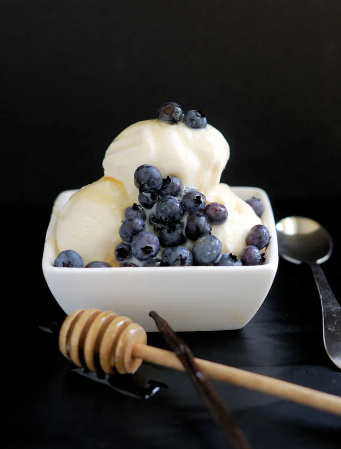 frozen yogurt with honey and vanilla bean