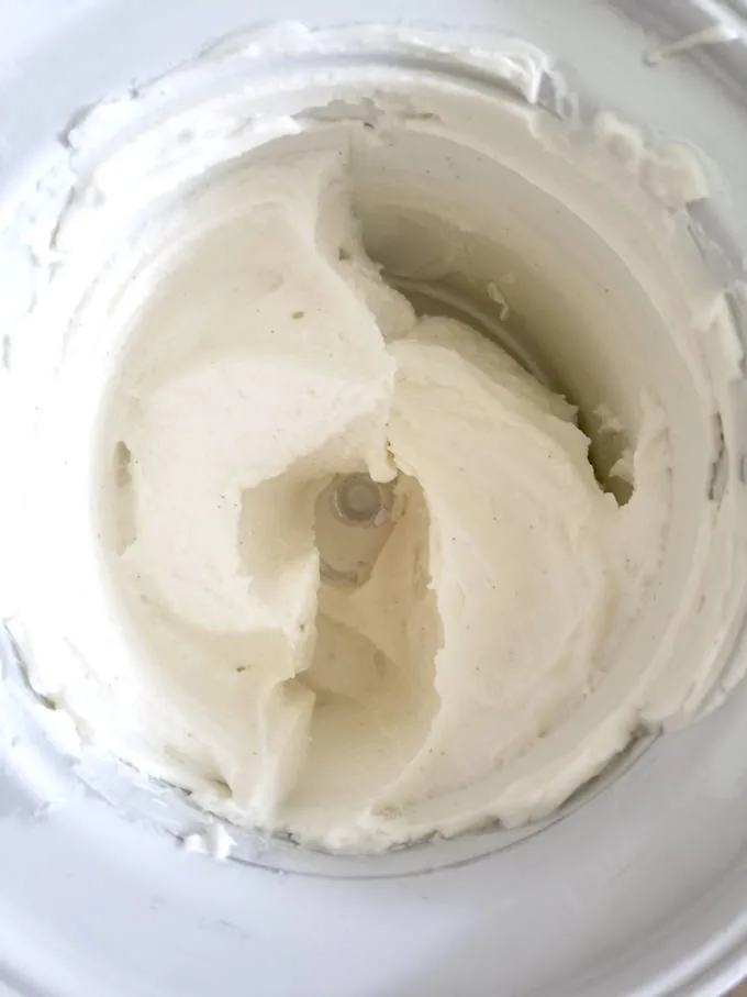 homemade frozen yogurt in an ice cream maker
