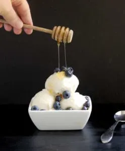frozen yogurt with honey and vanilla bean