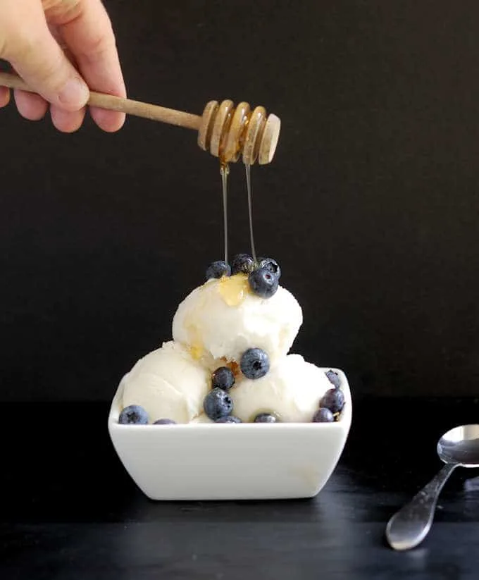 Frozen Yogurt with Honey & Vanilla Bean