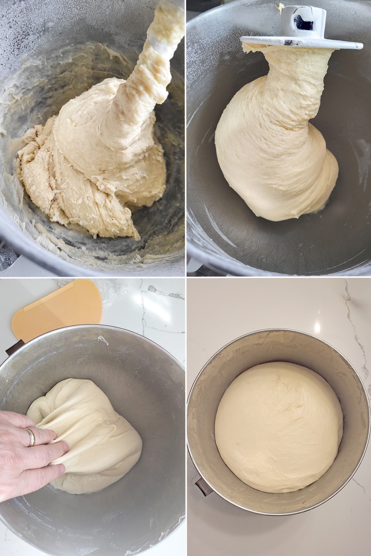 sourdough croissant dough in a mixing bow with a hook and being folded in the bowl.