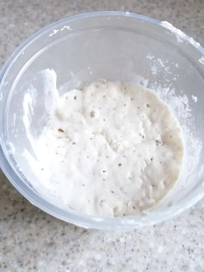 active sourdough starter for sourdough croissants