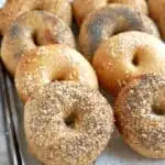 a tray of freshly baked bagels