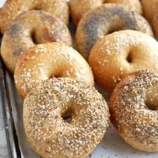 a tray of freshly baked bagels