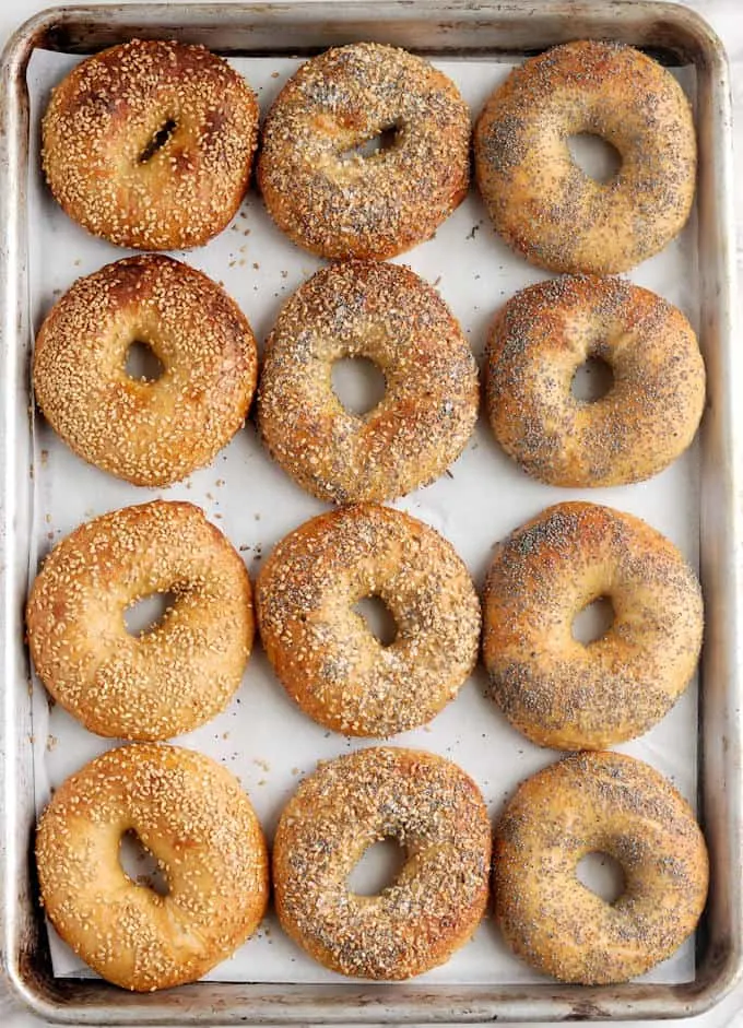 A tray of freshly baked bagels