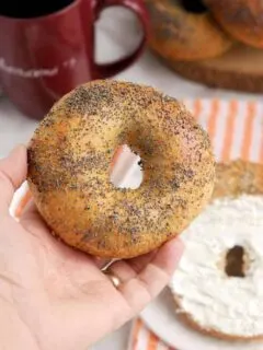 [a perfect poppy seed bagel