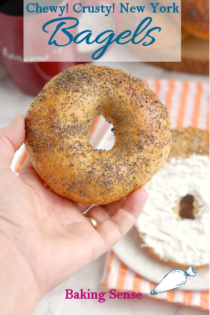 Overnight New York Style Bagels - Baking Sense®