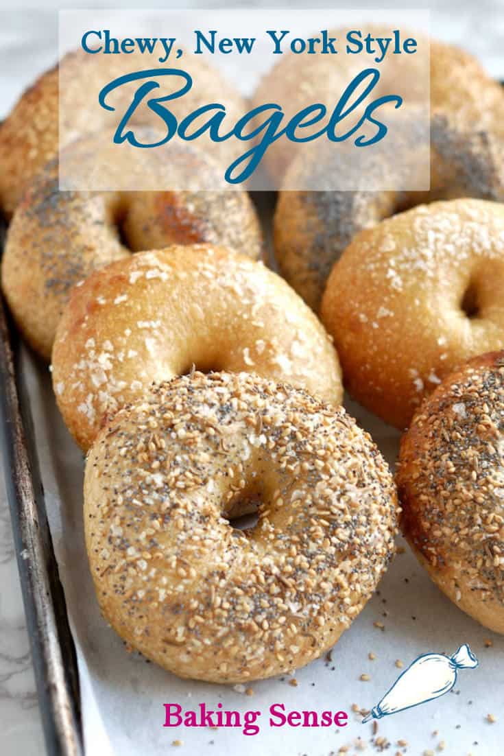 Overnight New York Style Bagels - Baking Sense®
