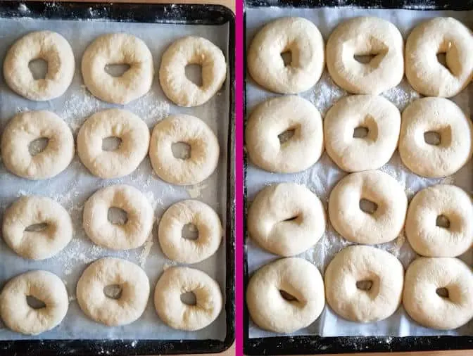 My Best Bagels with Step by Step Photos Part 1 — Real Baking with Rose