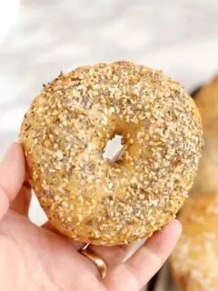 a hand holding a sourdough bagel
