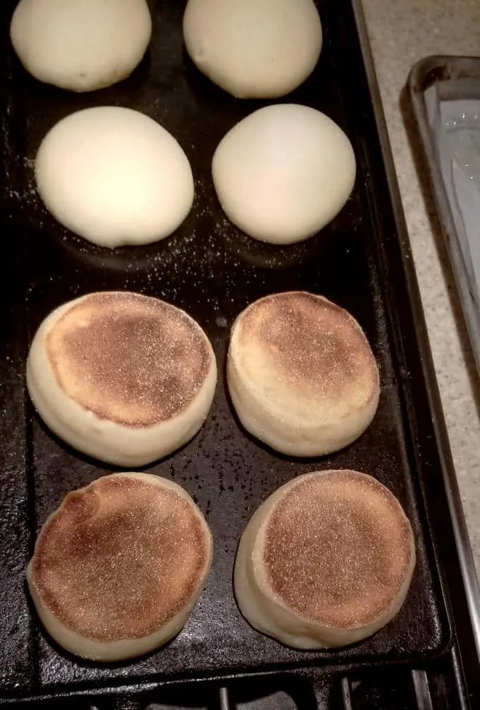 sourdough english muffins on a griddle