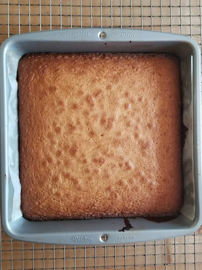 a baking pan with malted milk blondies