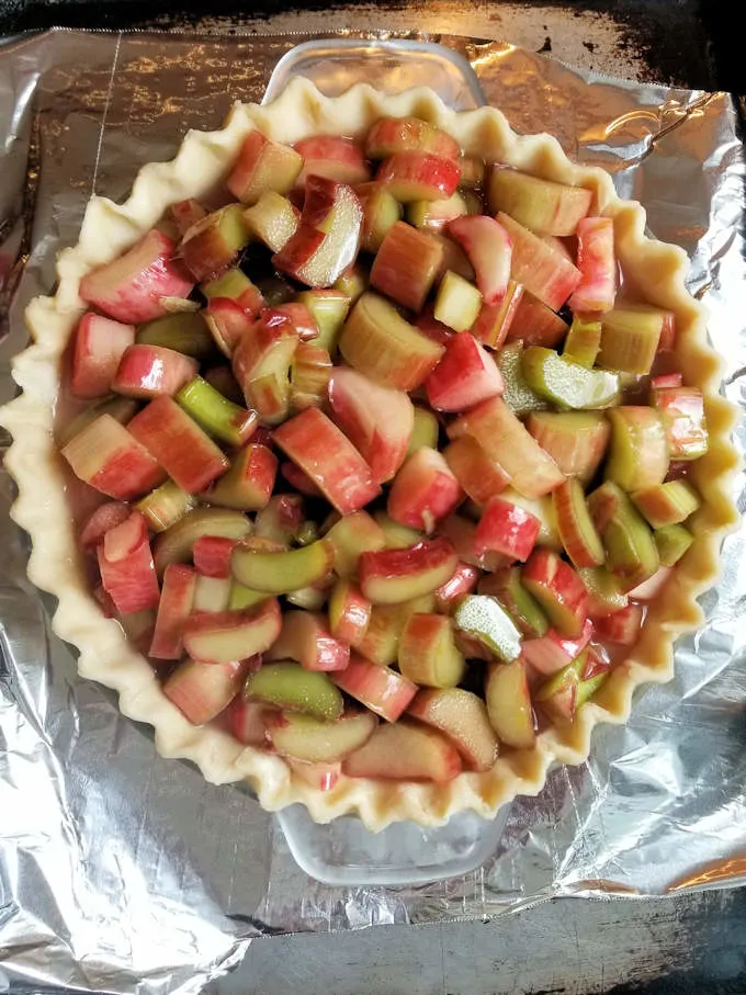 an unbaked pie shell filled with rhubarb