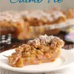 a pinterest image of a slice of rhubarb crumb pie with text overlay