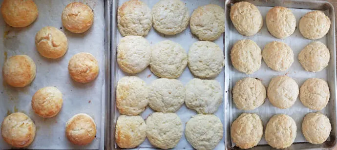 three trays of baked shortcake biscuits