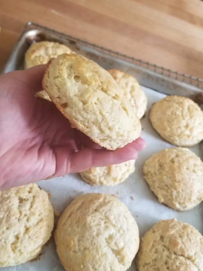 a hand holding a shortcake biscuit