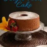 a pinterest image of chocolate angel food cake with text overlay
