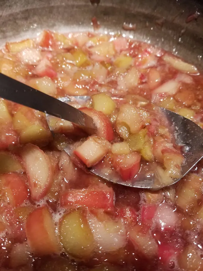 a spoon dipping into a bowl of cooked rhubarb