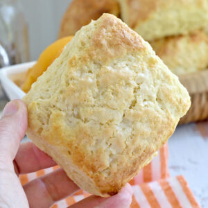 a hand holding a shortcake biscuit.