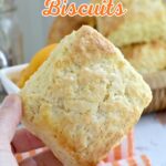 a hand holding a big shortcake biscuit.