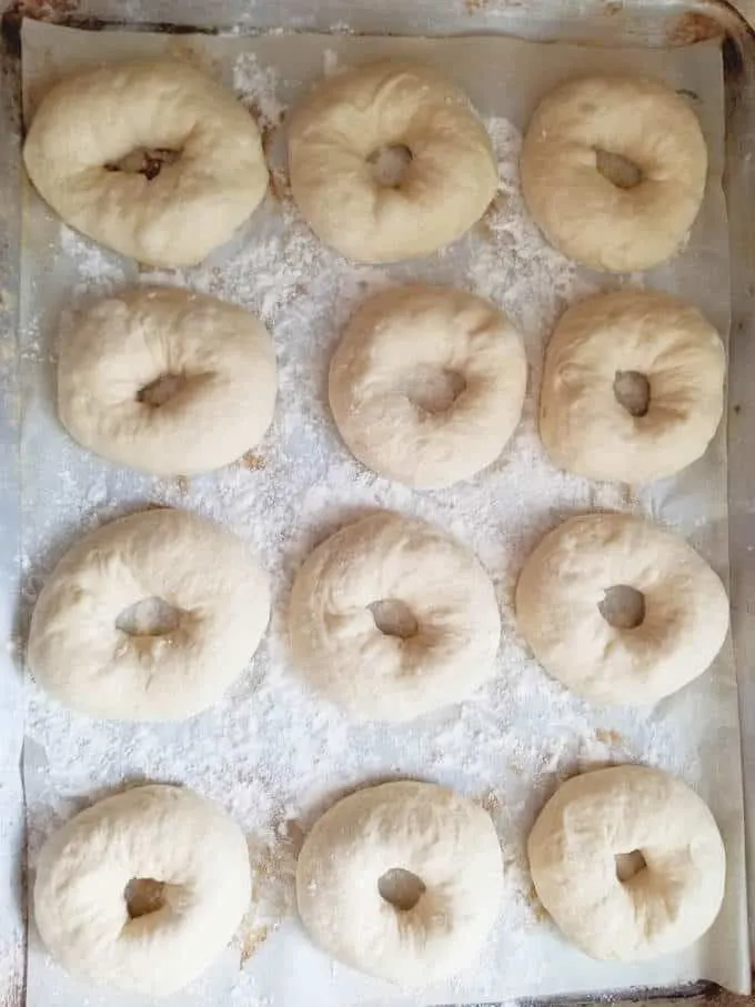 a tray of unbaked bagels