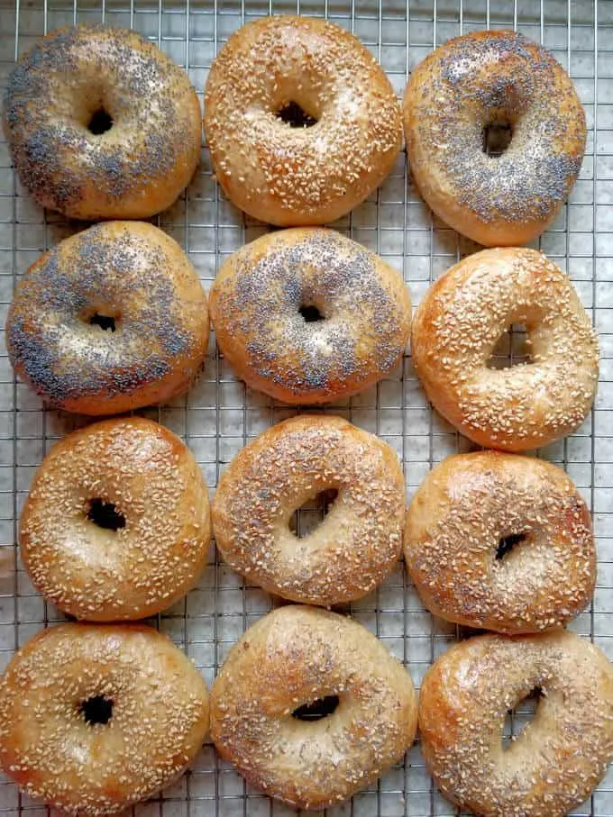 sourdough bagels on a cooling rack