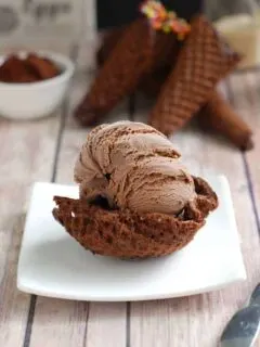 a bowl of malted chocolate ice cream