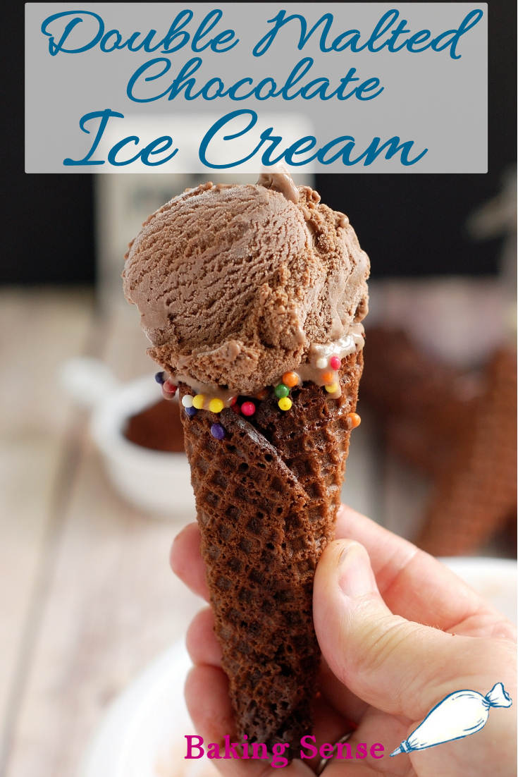 Double Malted Chocolate Ice Cream - Baking Sense®