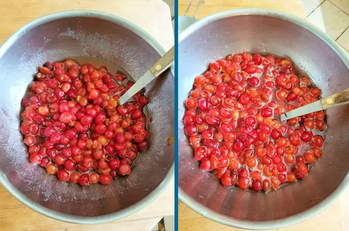 two bowls of sour cherries and sugar