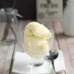 a bowl of vanilla bean ice cream