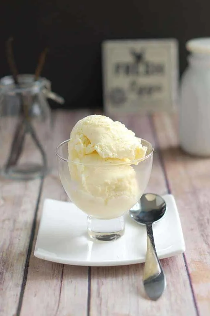 a bowl of vanilla bean ice cream