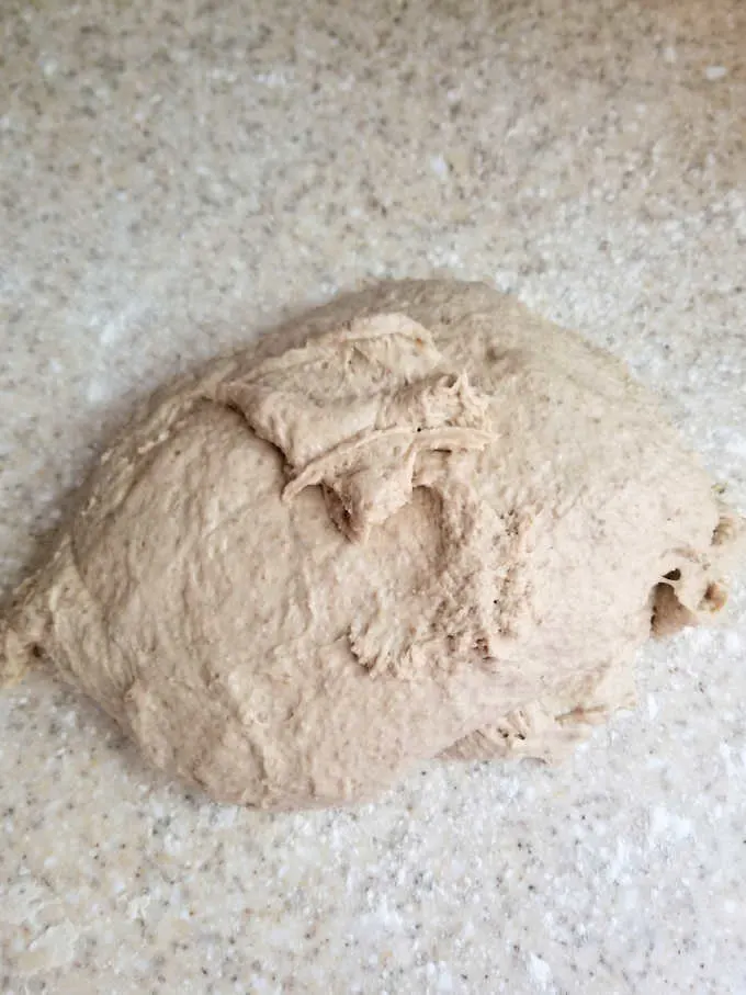 Rye bread dough sitting on a couter top.